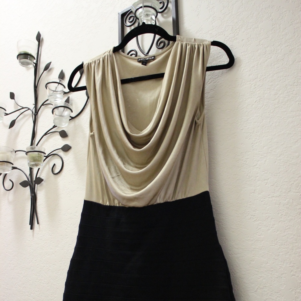 Express form fitting women's dress